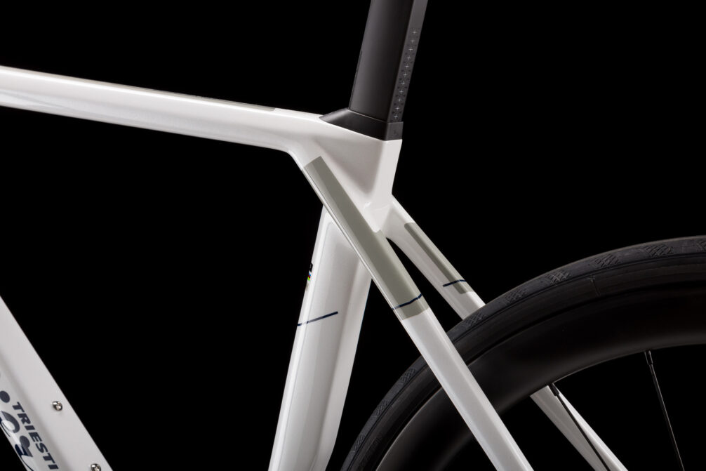 Wilier Triestina Granturismo SL 105Di2 SWR38 - obrazek 4
