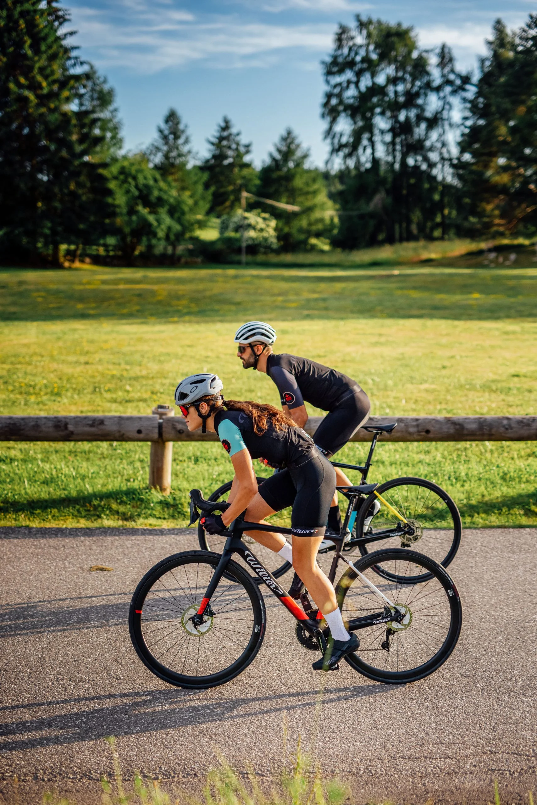 Wilier Garda Disc Rival koła NDR38 - obrazek 5