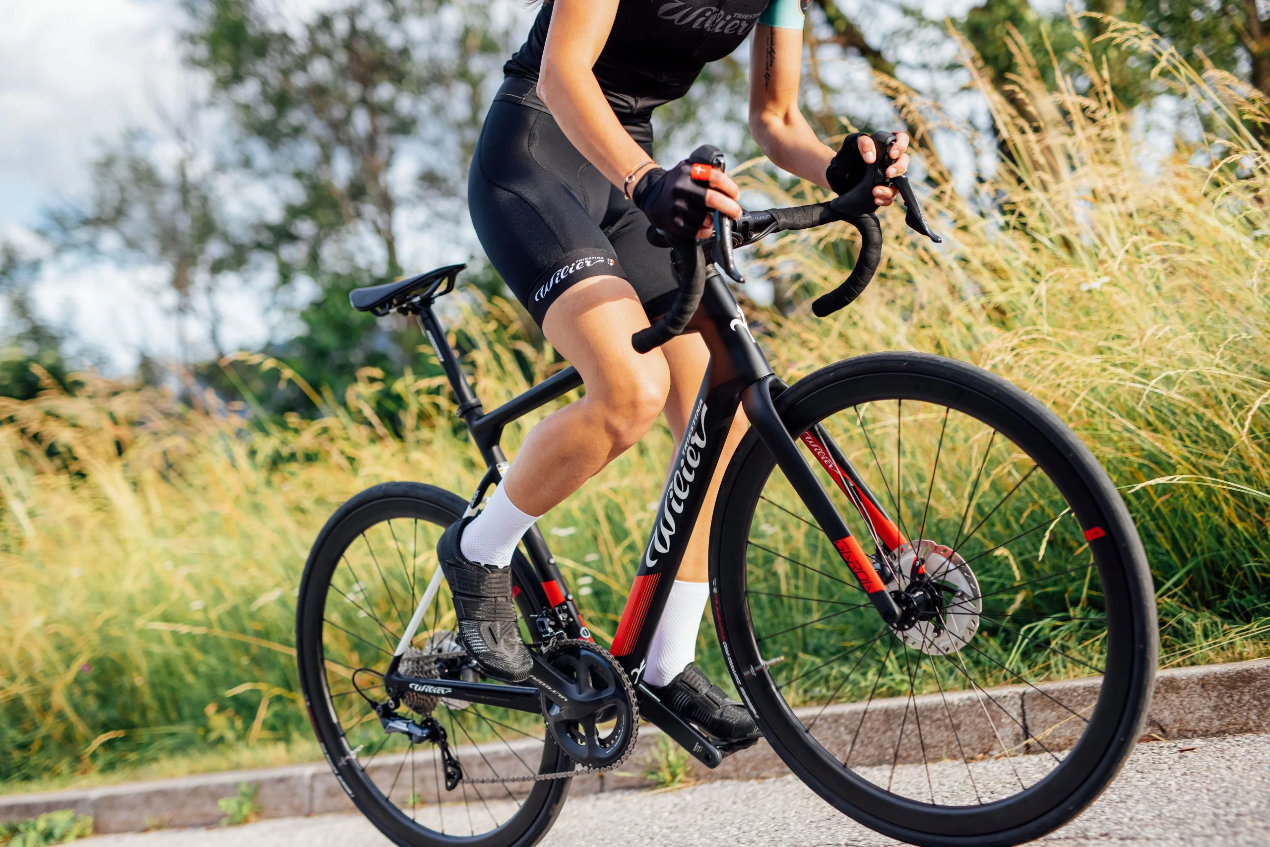 Wilier Garda Disc Rival koła NDR38 - obrazek 4